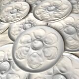12 Saint Amand oyster plates, sky blue and white