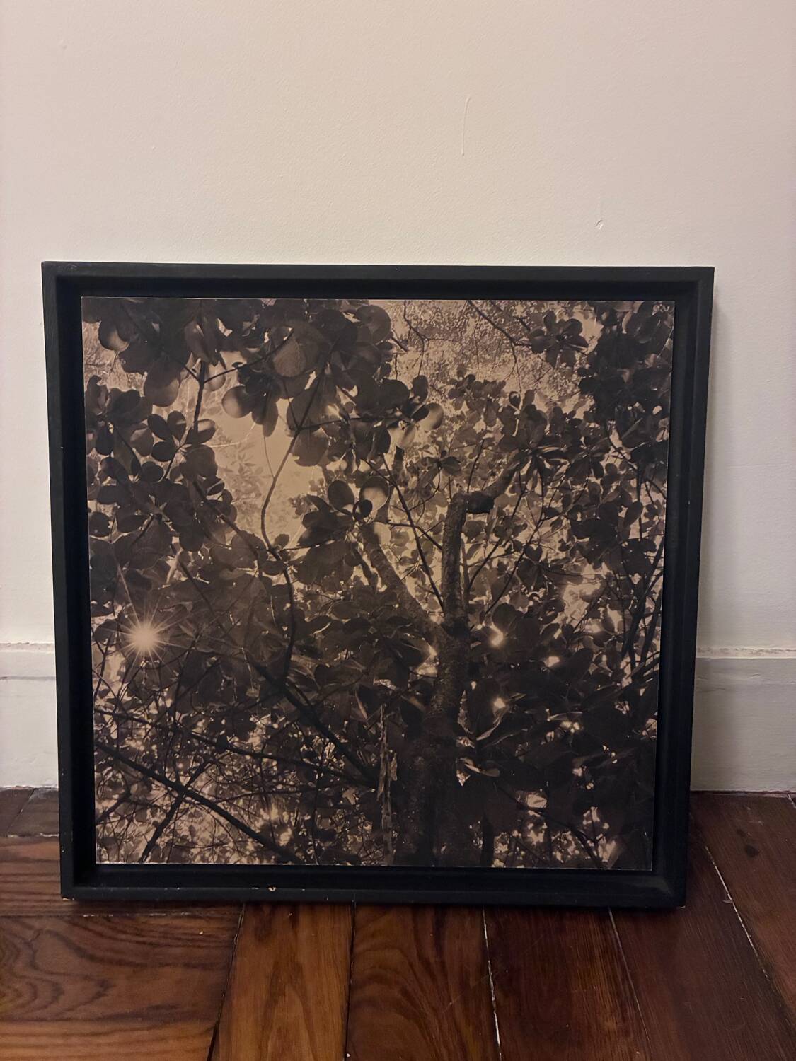 Photography Manuel Bougot – "Journey to the Antilles" – Print 1/25