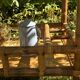Vintage 1950s bamboo trolley or serving cart.