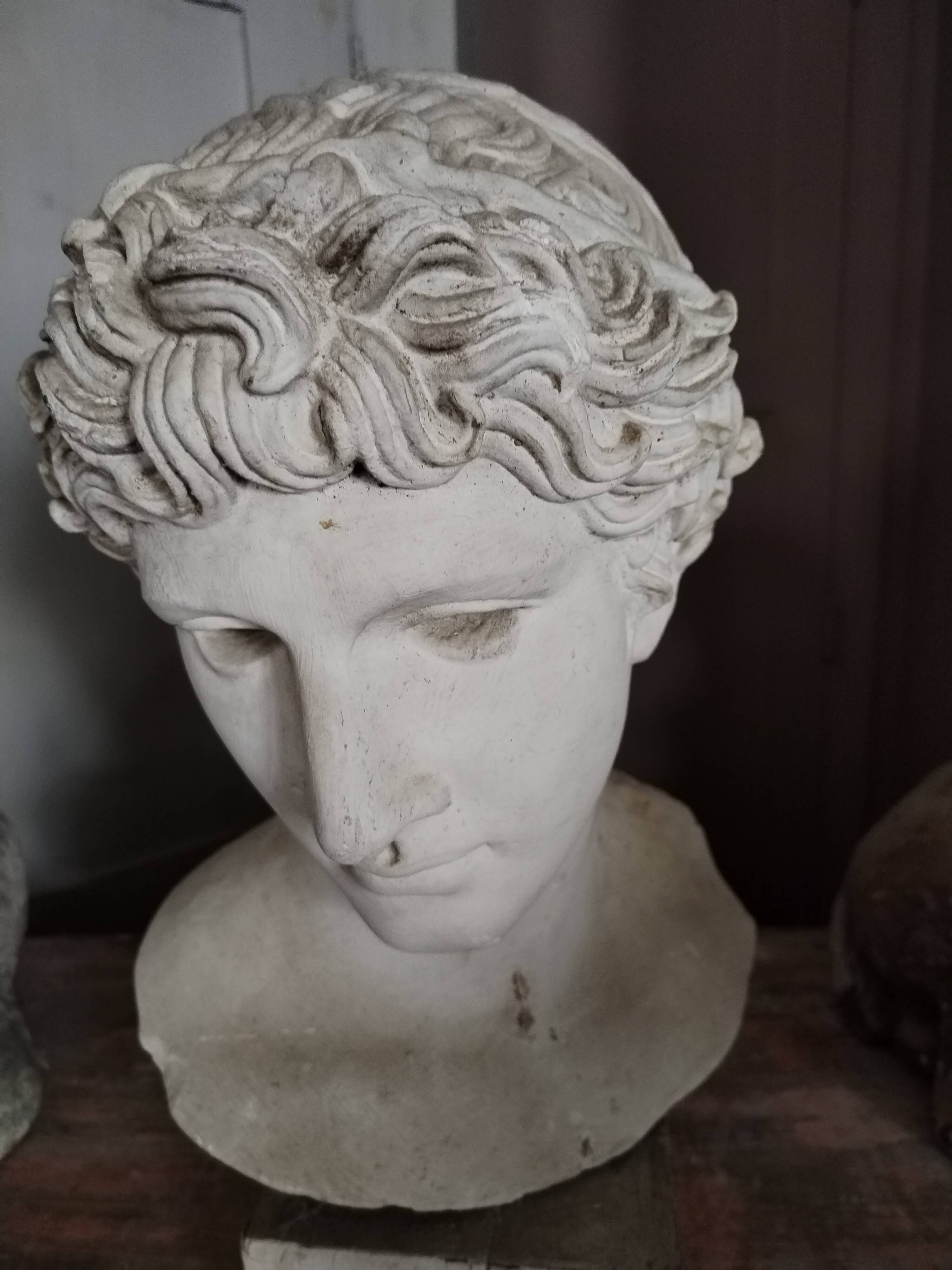 White plaster Apollo bust early 20th century