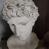 White plaster Apollo bust early 20th century