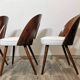 Dining Chairs by Antonin Suman, 1960s, Set of 4