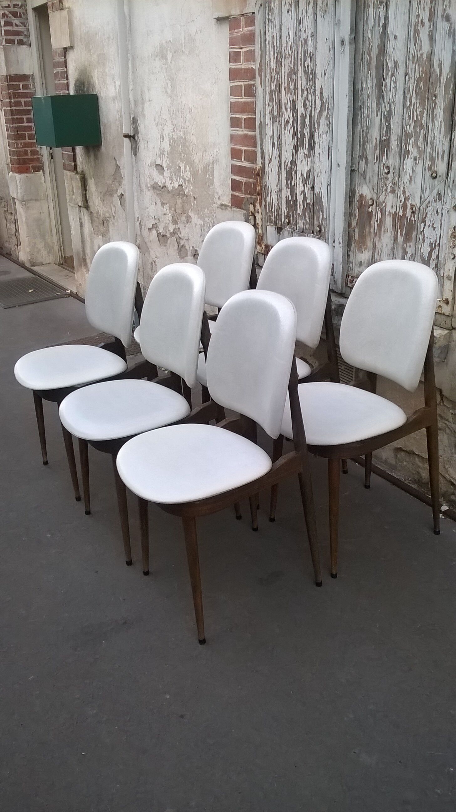 six Baumann Chair model Pegasus