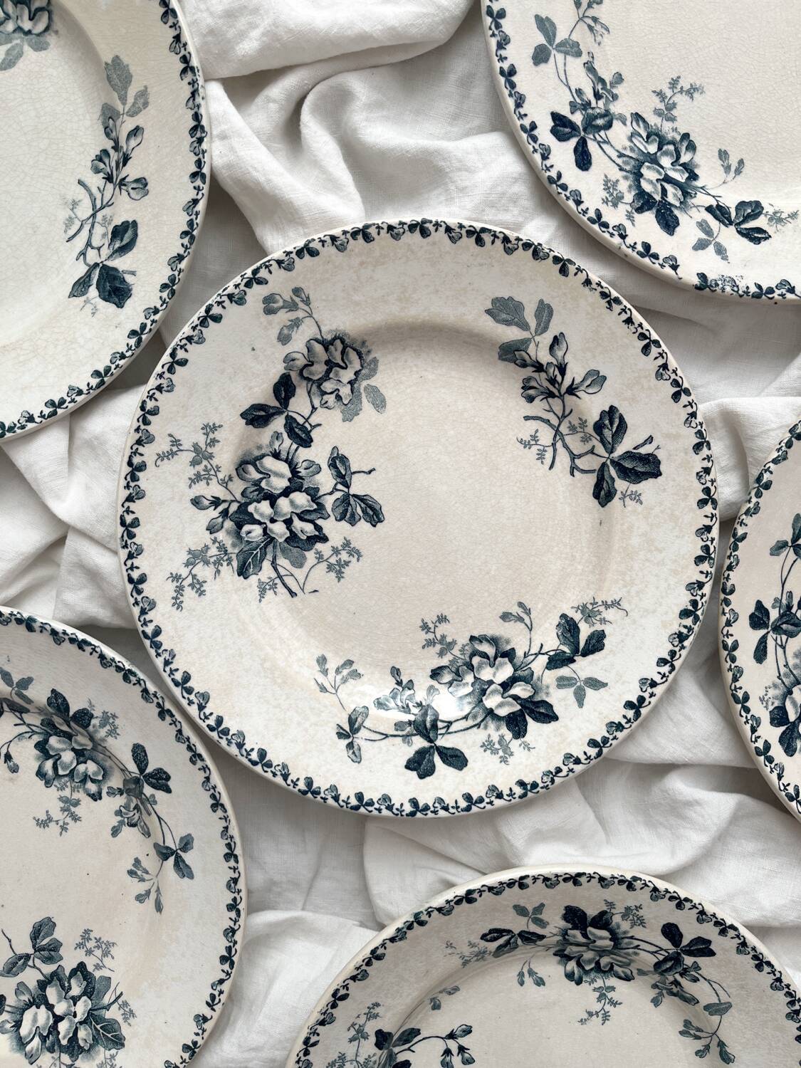 6 assiettes plates en terre de fer « Acacia » Moulin des Loups et Hamage