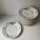 12 vintage porcelain dessert plates signed hache, julien & cie birds
