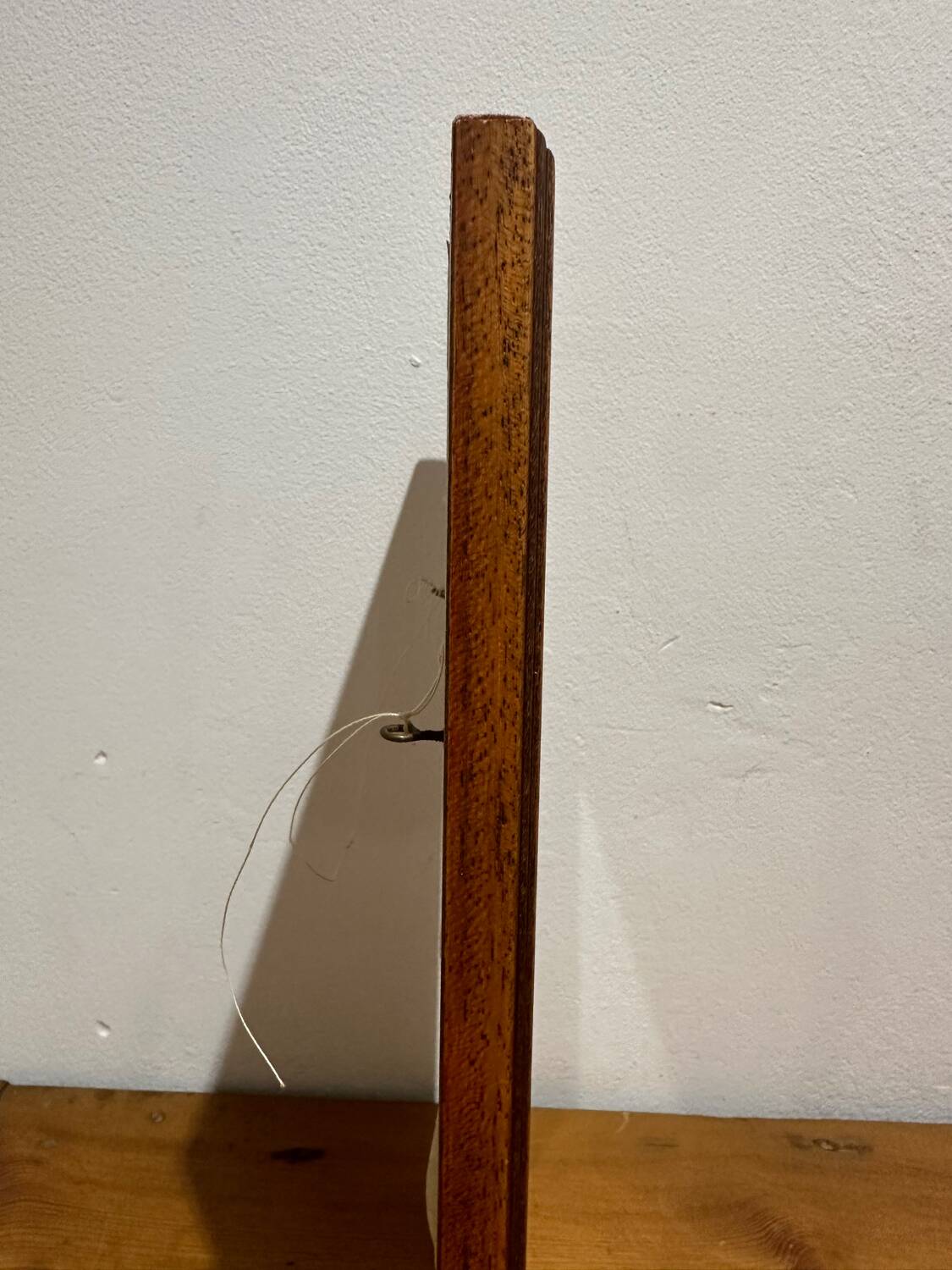 Butterflies lithograph frame