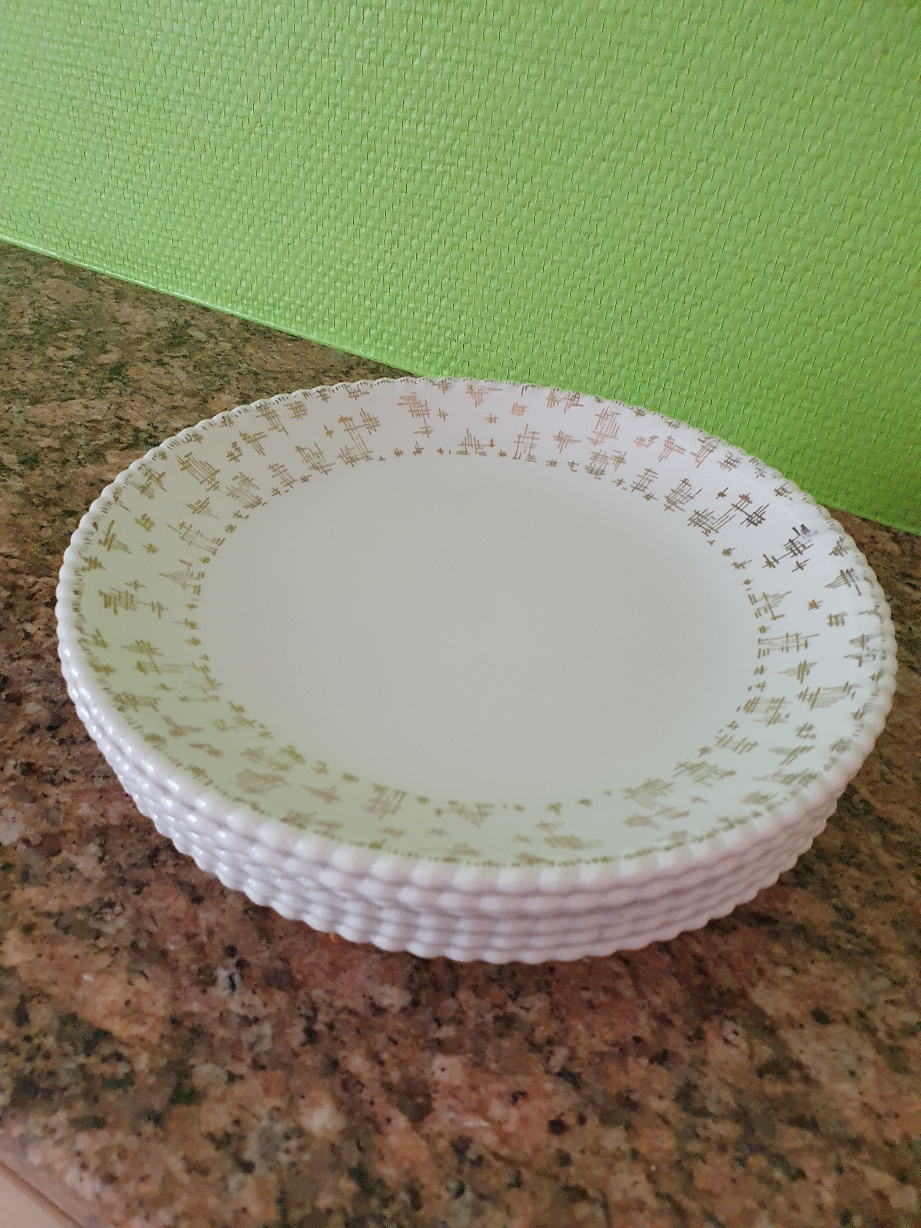 6 Luneville flat plates