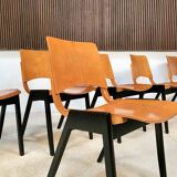 Set of 6 Dining Chairs P7 by Roland Rainer for E & A Pollack, Vienna 1952