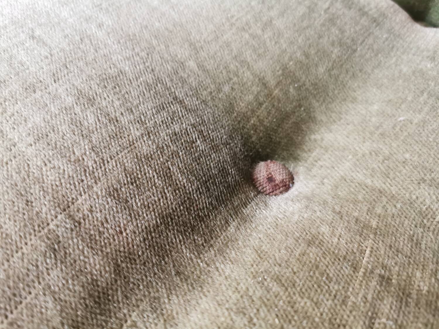 Scandinavian velvet and wood sofa