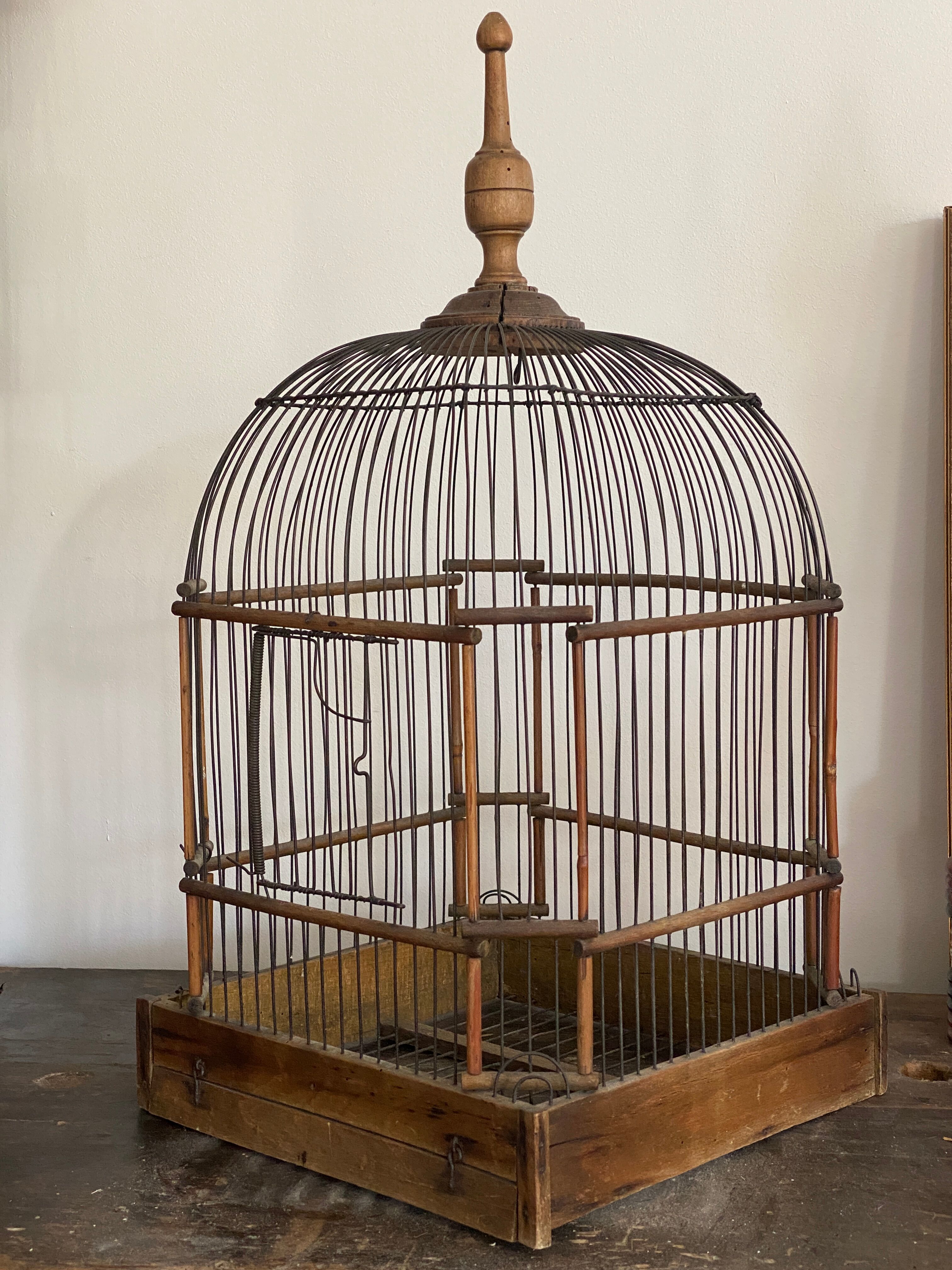 Old bird cage