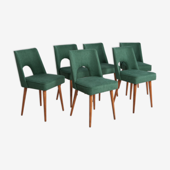 Polish Shell Chairs from Bydgoszcz Furniture Factory, 1960