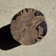 Brown and black petrified wood side table H35 D27 - 3333