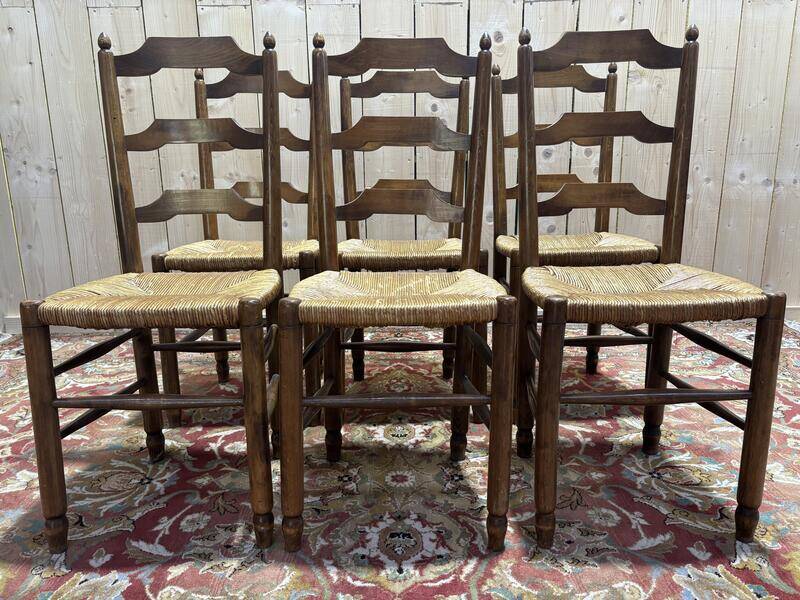 Série de chaises paillées salle à manger