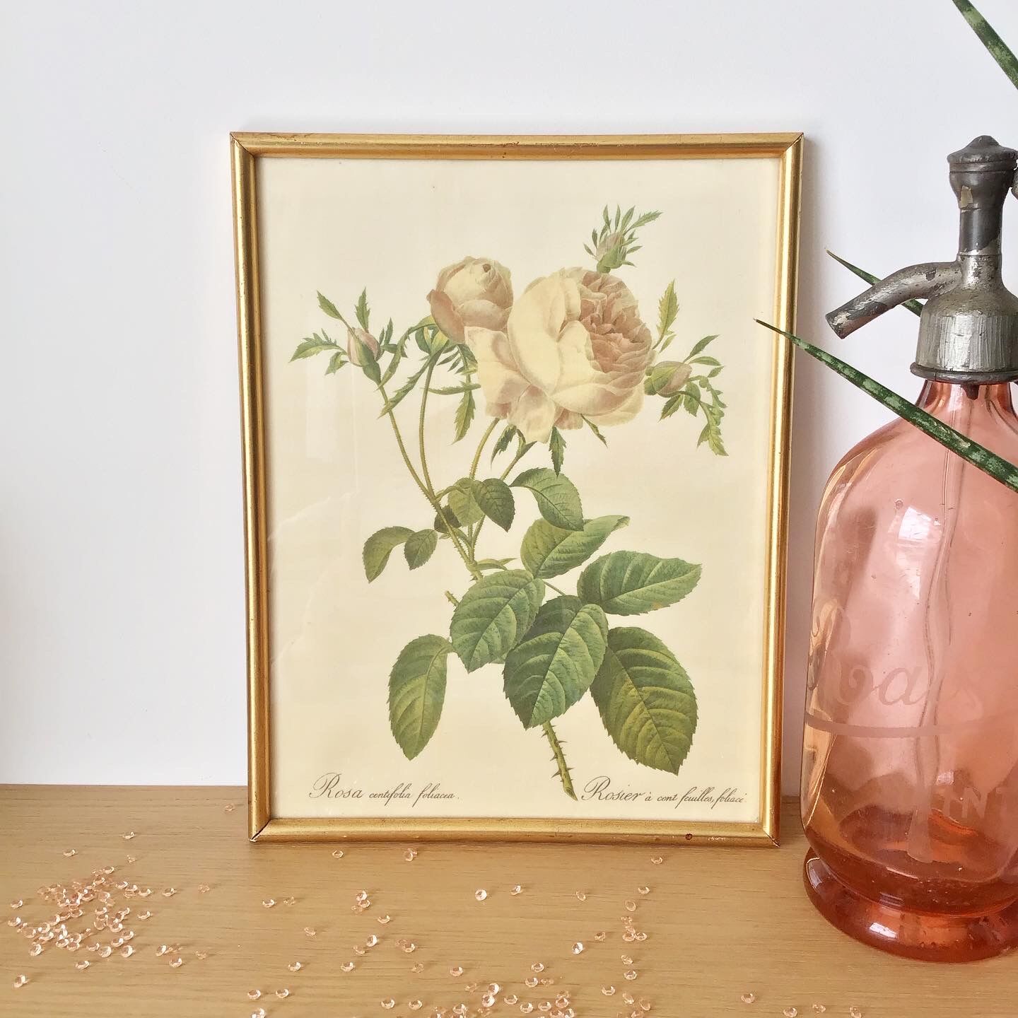 Vintage dreaded rose frame on fabric