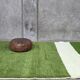 Contemporary Green Carpet - 292 x 207 cm