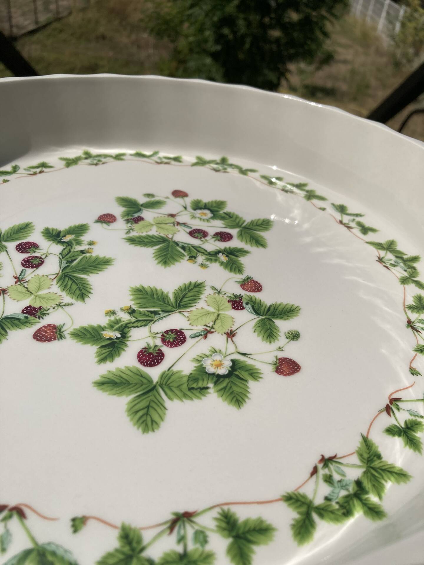 Flan mould Susan Williams-Ellis botanical patterns