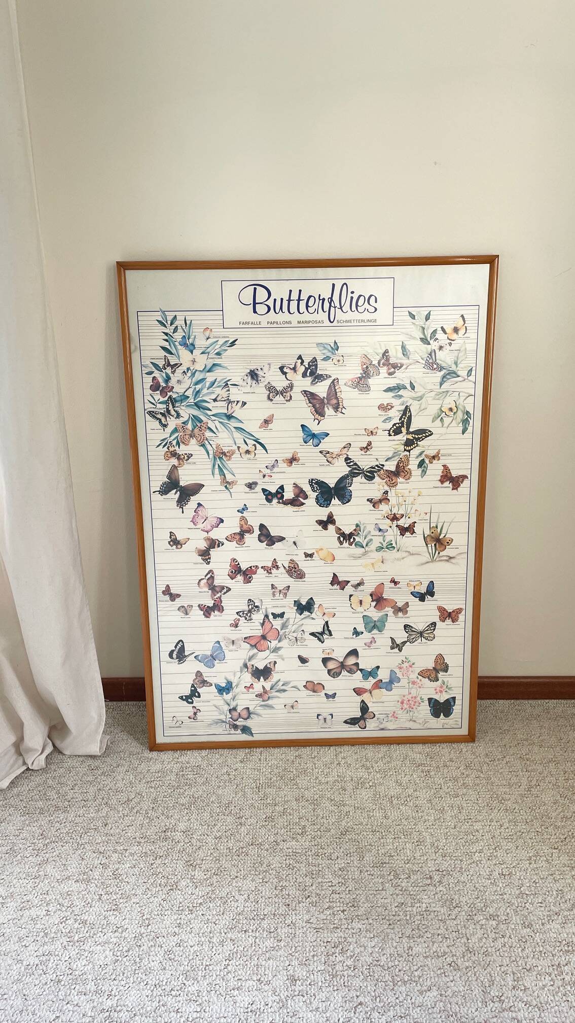 TABLEAU Display BUTTERFLY Italy Vintage