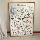TABLEAU Display BUTTERFLY Italy Vintage