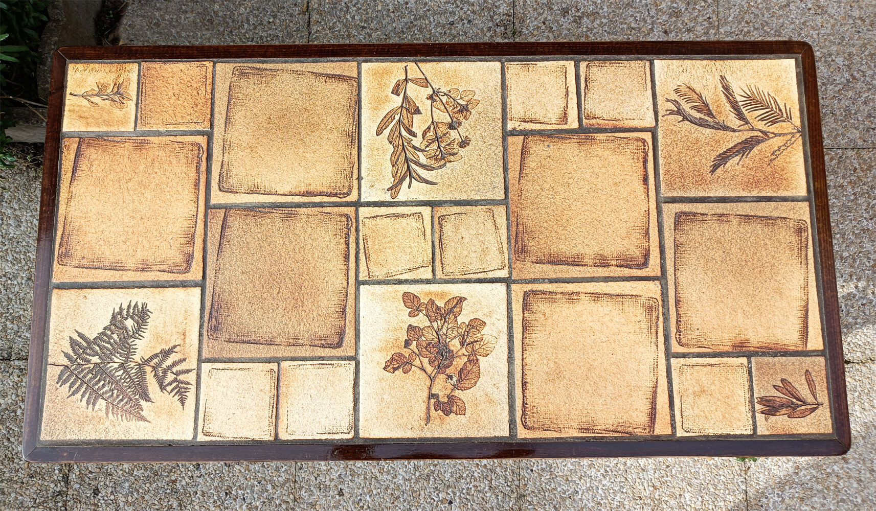 Rectangular herbarium coffee table, vintage 60s