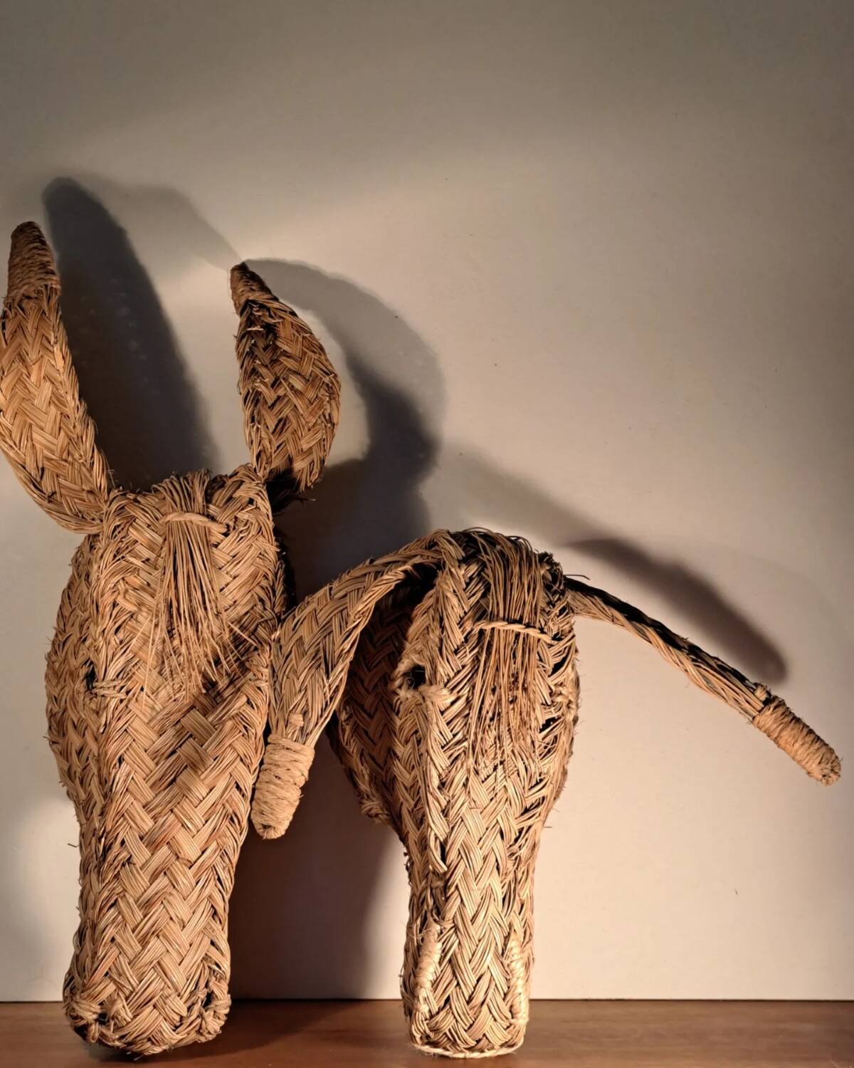 Wall decoration 2 seagrass animals