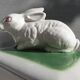 Pot terrine rabbit of Bavent in white earthenware on square of greenery