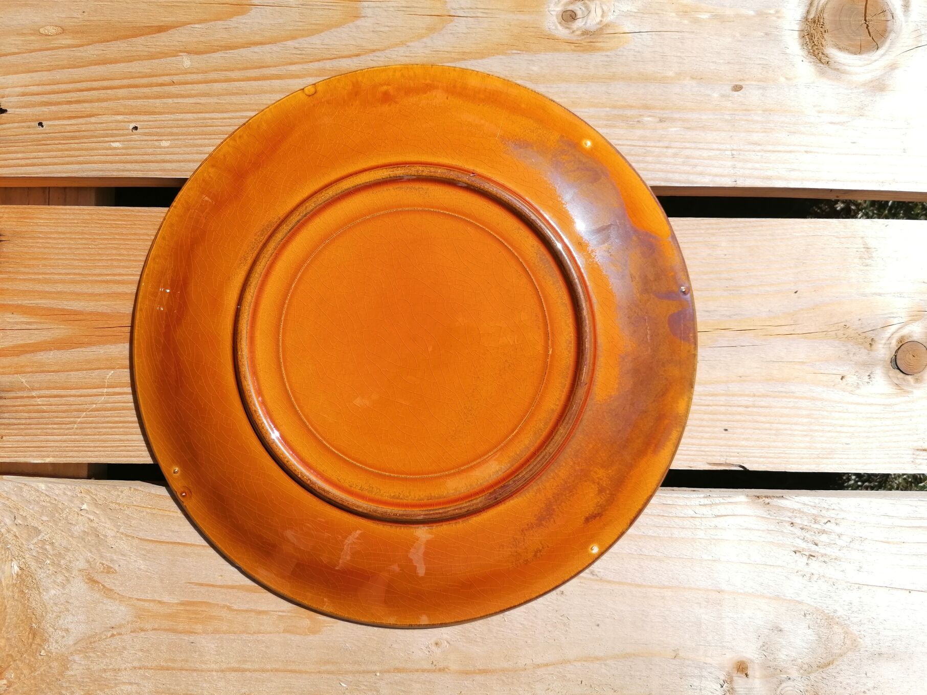 6 flat fish glazed plates