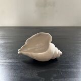 Biscuit shell candle holder