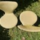 Set of 2 Jacobsen number 7 chairs, first series 1960.