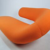 Cleopatra Sofa by Geoffrey Harcourt for Artifort, 1970s