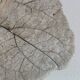 Vintage one  of a kind cast concrete fruit trinket bowl leaf decor