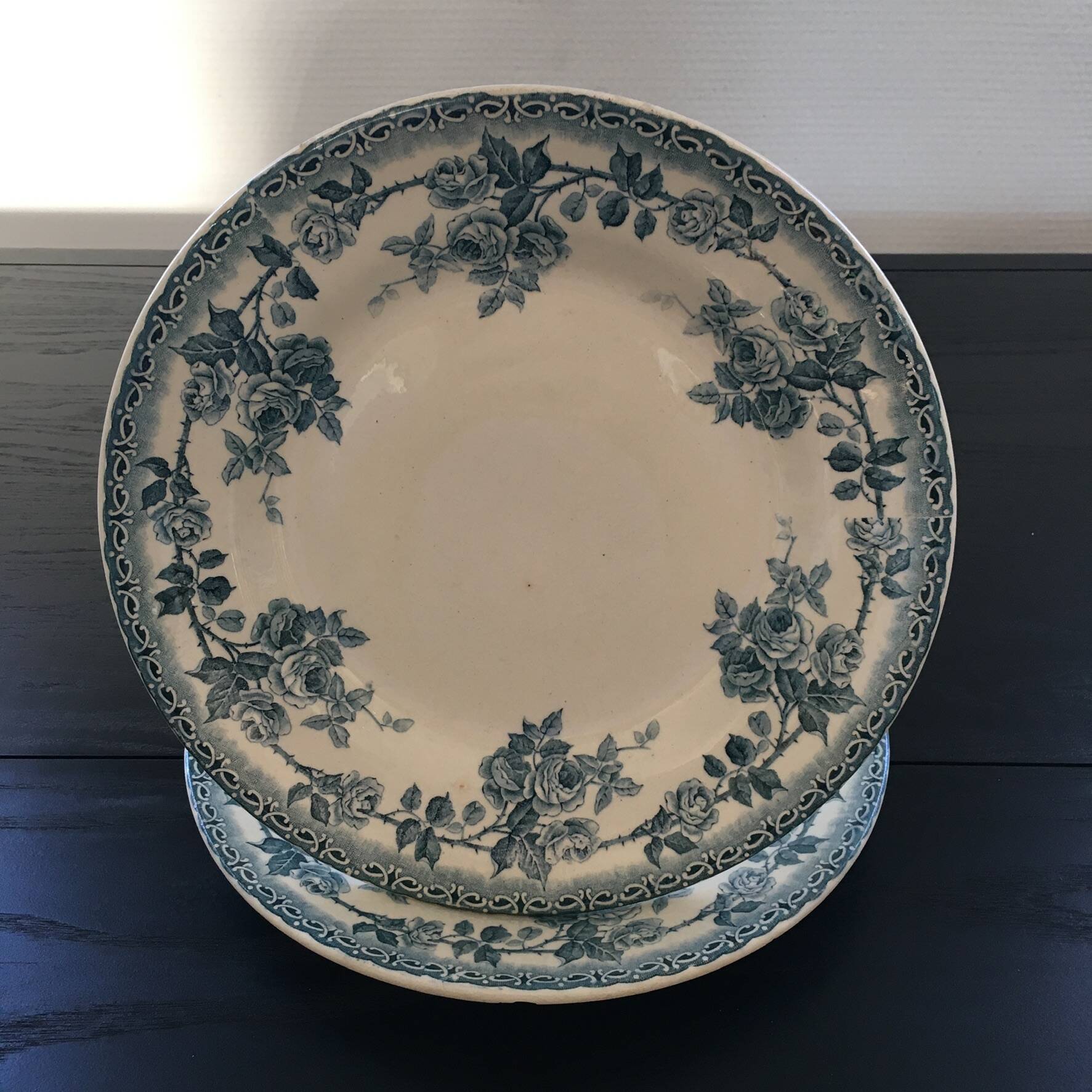 Pair of Terre de Fer plates