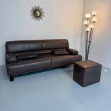 Antique buffalo leather sofa and pouf, de sede n' 18 design, from the 80s
