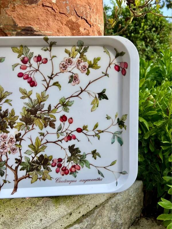 Plateau Villeroy and Boch Botanic