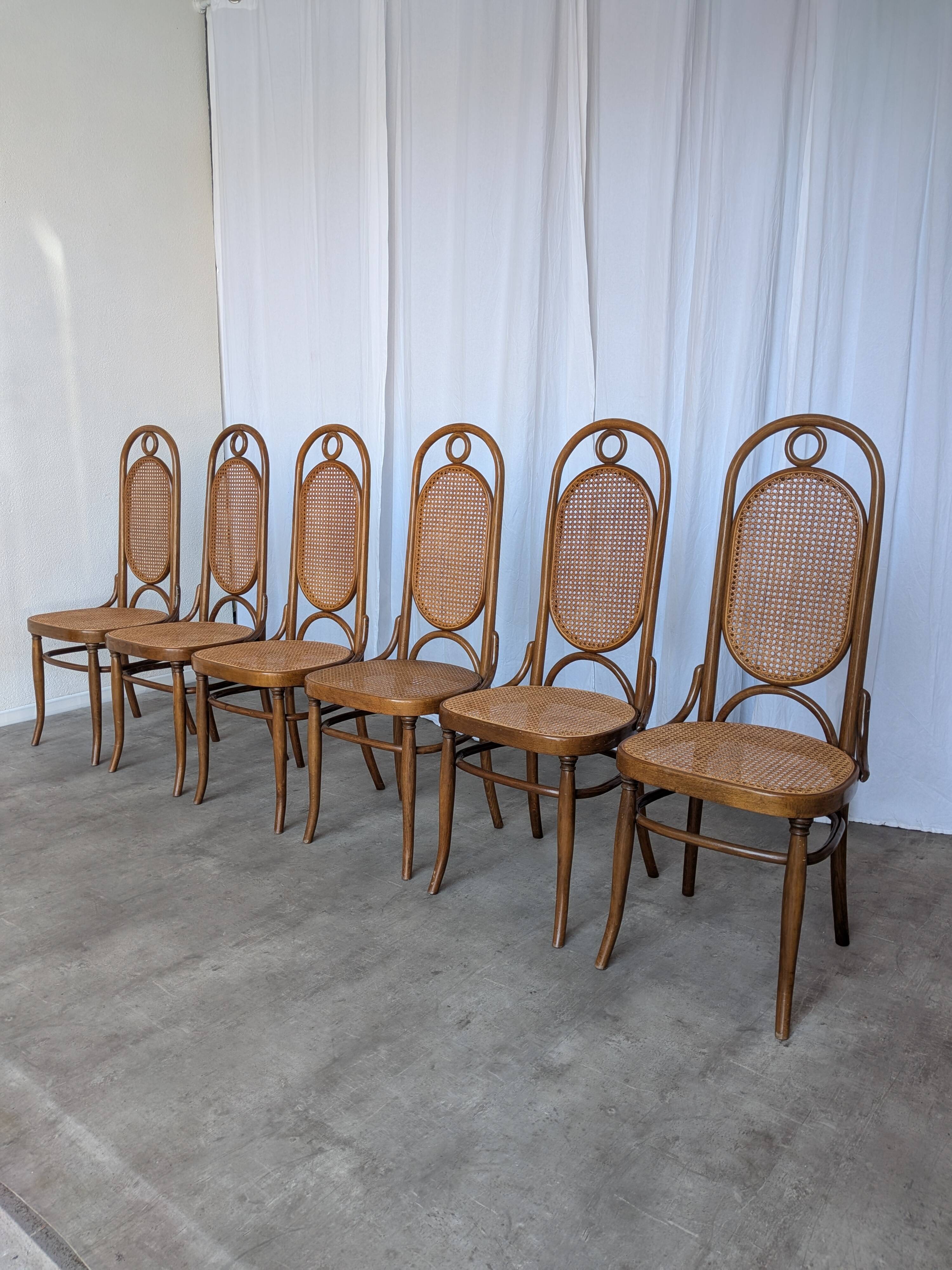 Set of 6 Mid-century Bentwood Cane Dining Chair, Thonet Style, 1970s Yugosl