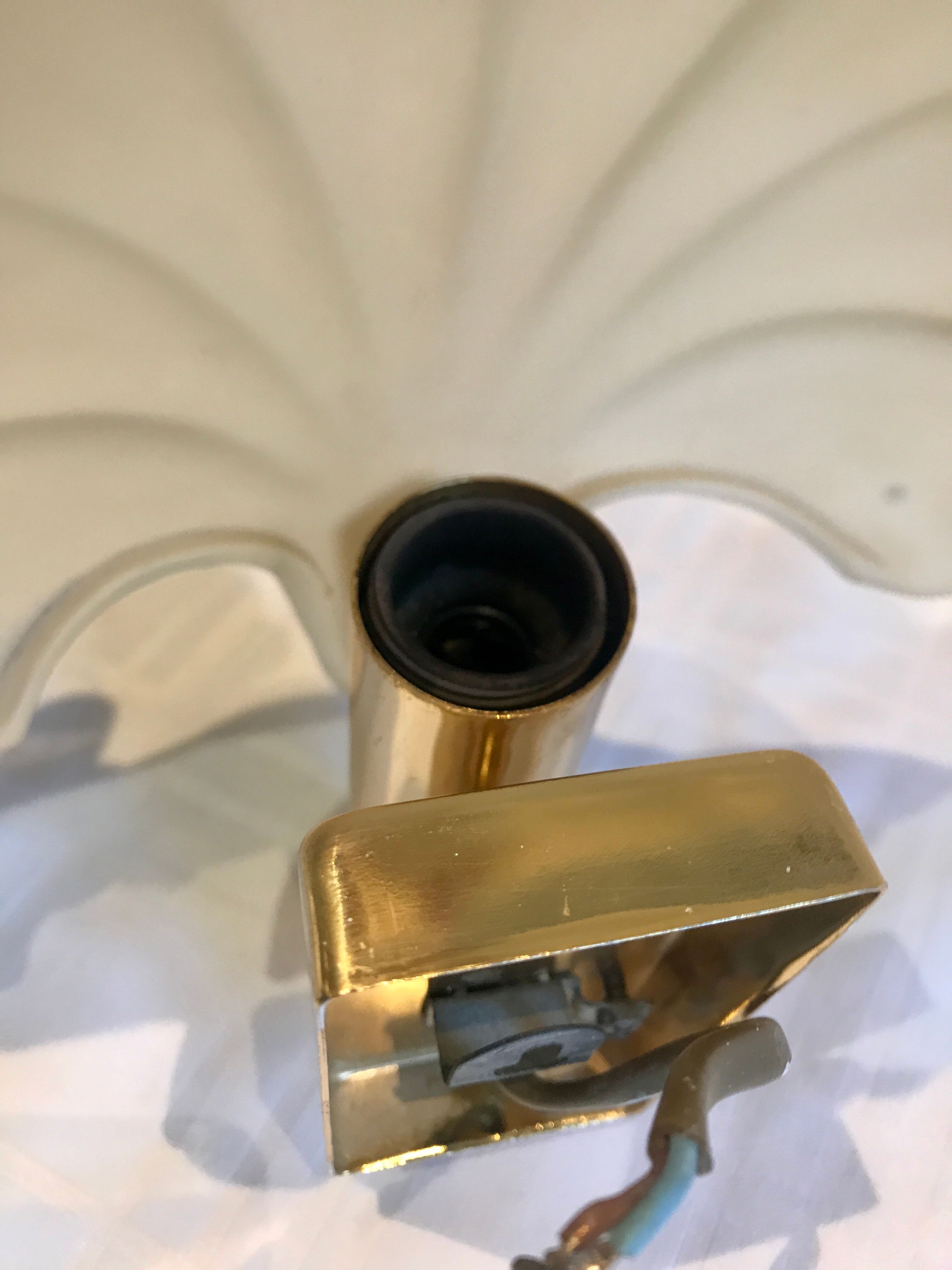 Pair of shell sconces