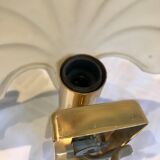 Pair of shell sconces