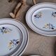 Set 6 assiettes St Amand Christiane Céramon