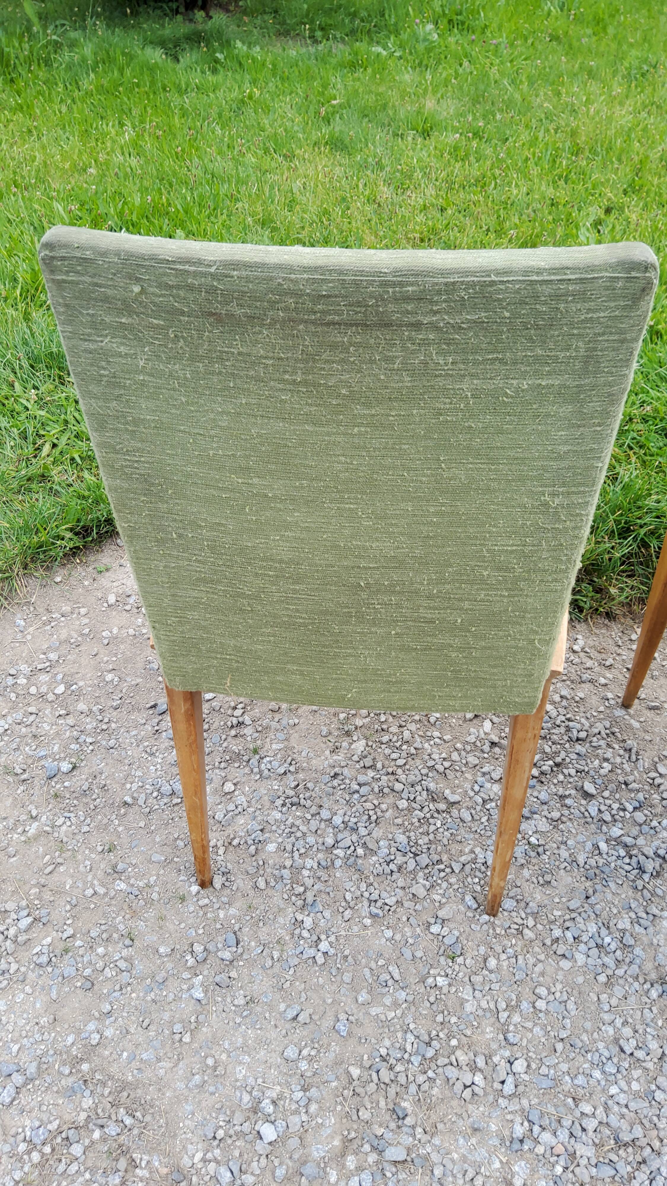 Pair of chairs from the 50s in sycamore tinted beech