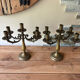 Pair of large 5-light candlesticks in patinated brass, classical style.
