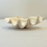 Grand vide-poches coquillage Bénitier naturel années 70 curiosités