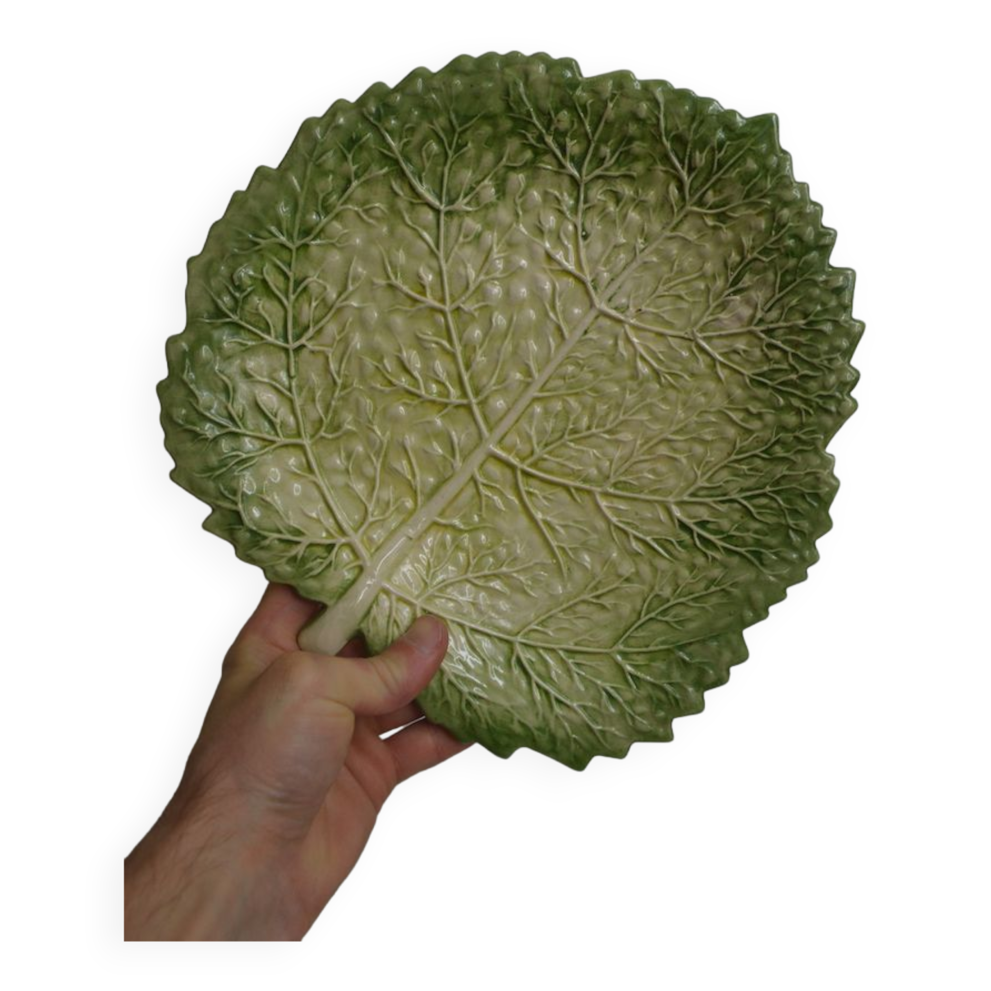 Salad bowl sunflower drainer in slip