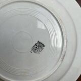 Iron Earth Plate
