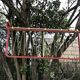 Vintage SNCF wall coat rack from the 60s