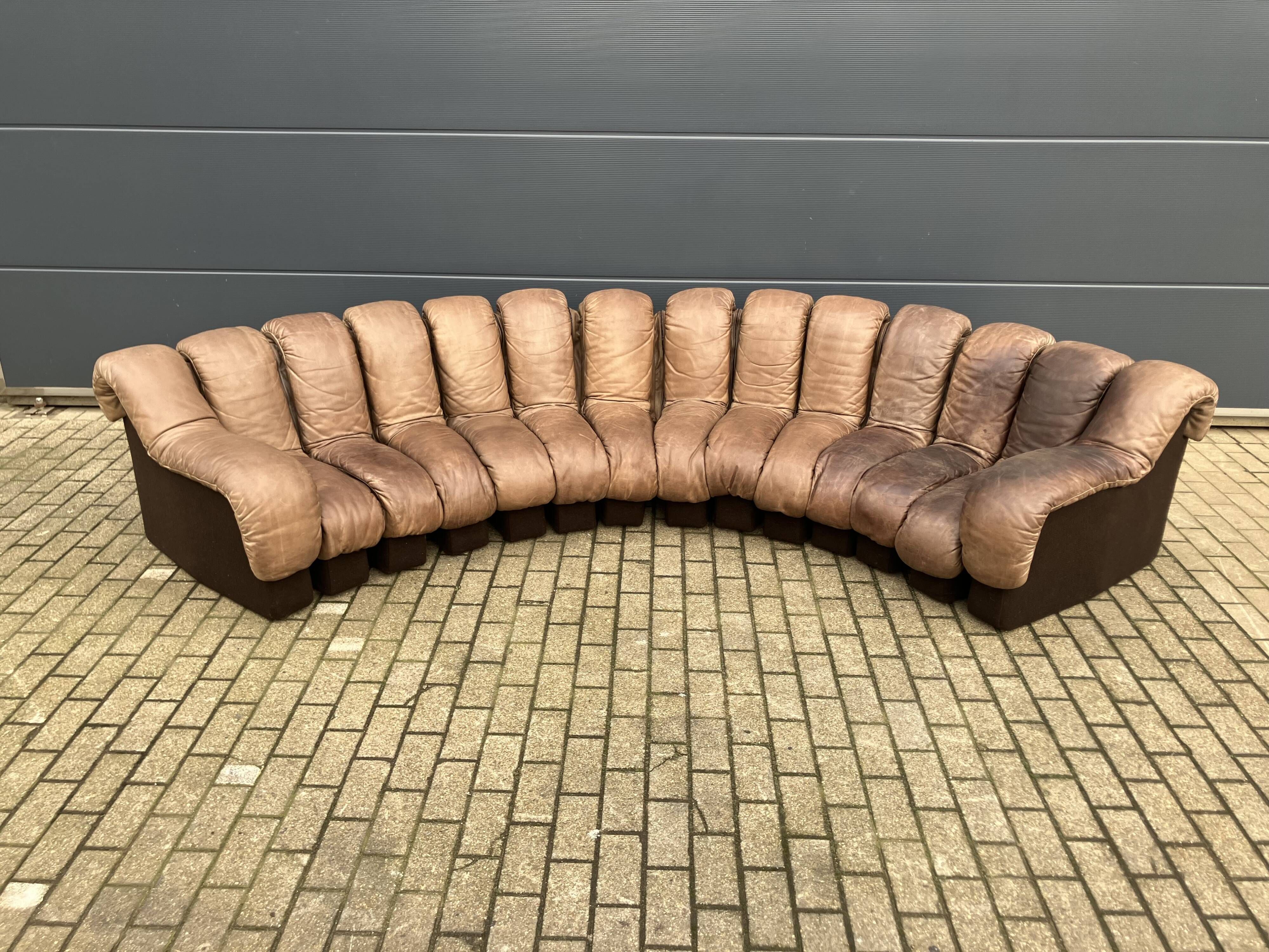 De Sede Ds600 Snake Tatzelwurm, 14 elements. Origineel in Topstaat!!