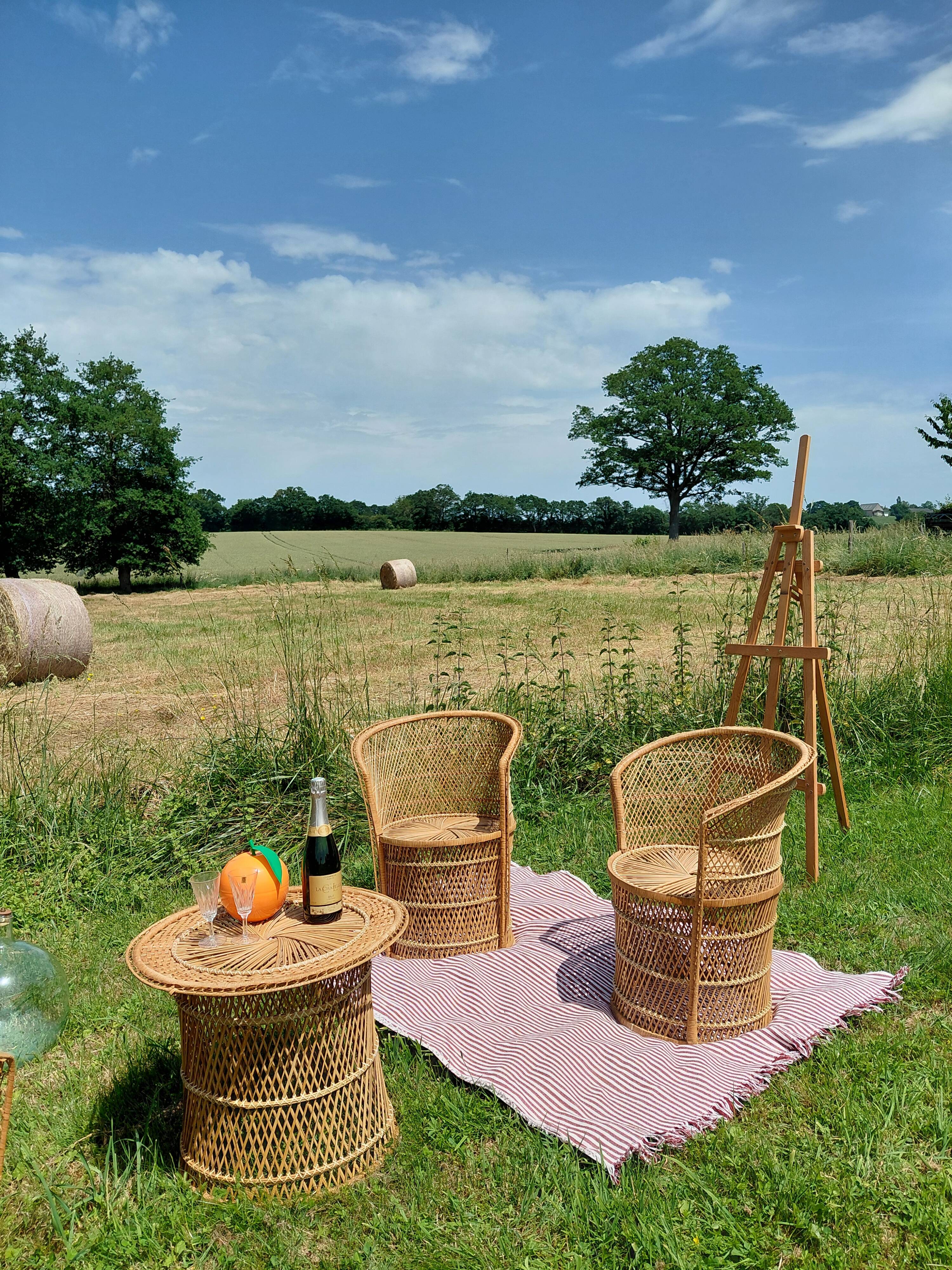 Vintage garden furniture in wicker rattan 1960 - complete 4-piece set