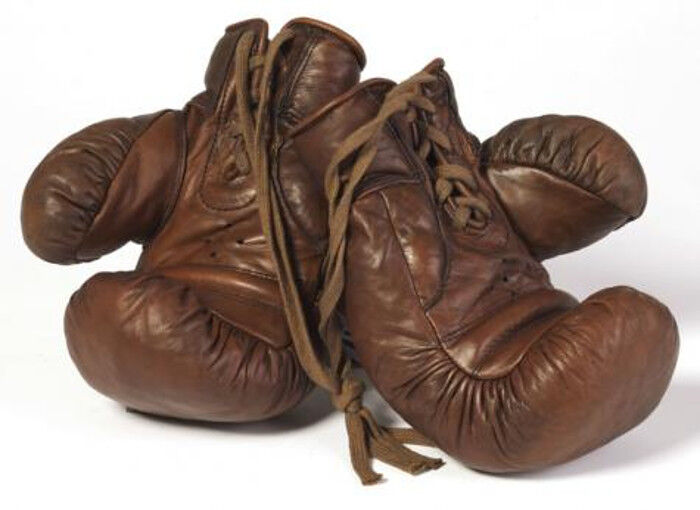Paire de gants de boxe et speed ball en cuir