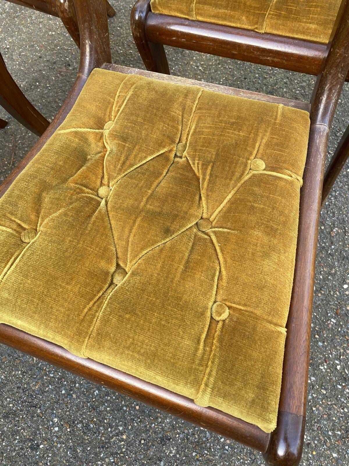 4 Regency chairs in solid wood and mustard yellow velvet fabric from the 19th century.