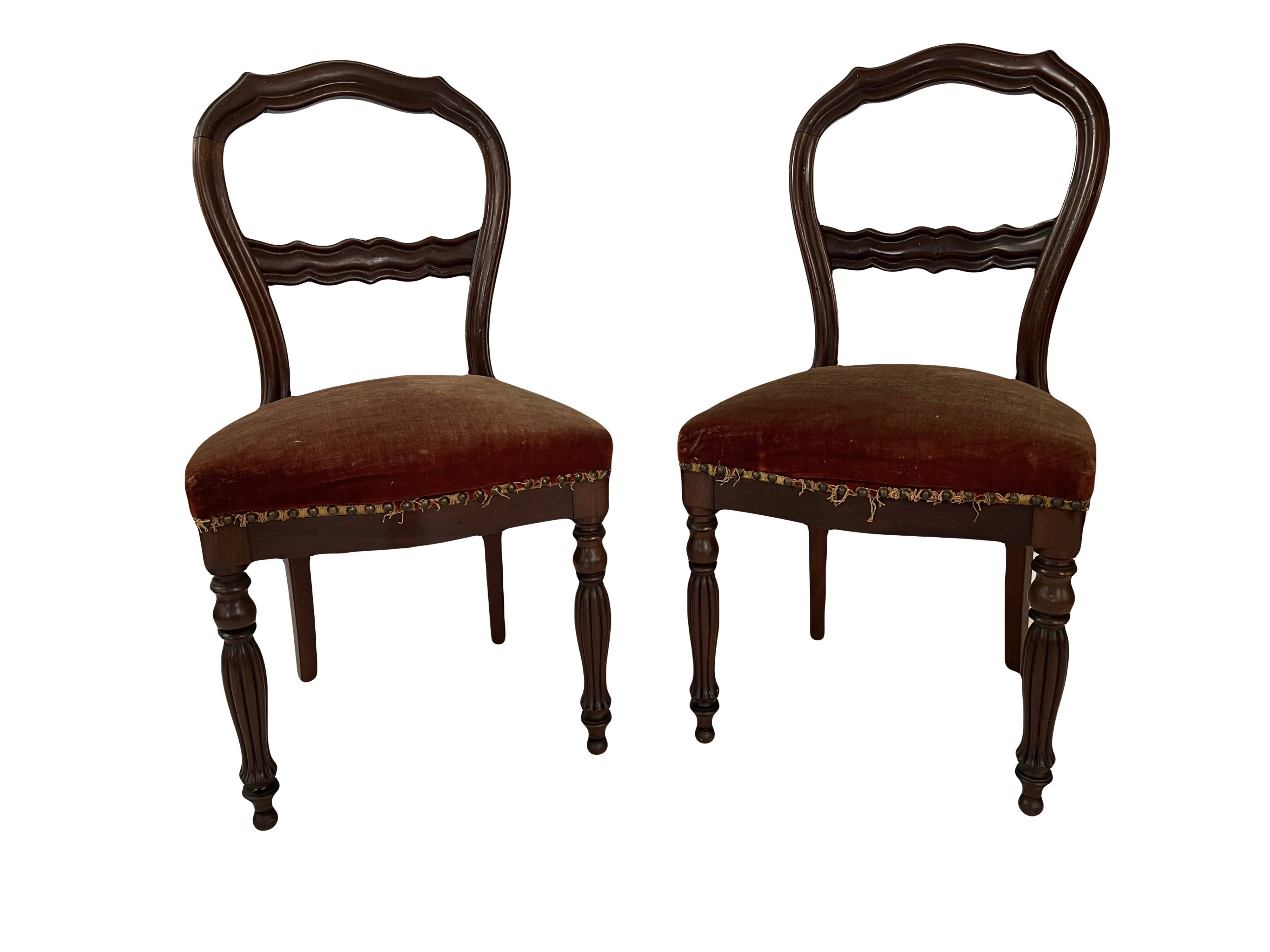 Pair of Louis Philippe period chairs in solid mahogany