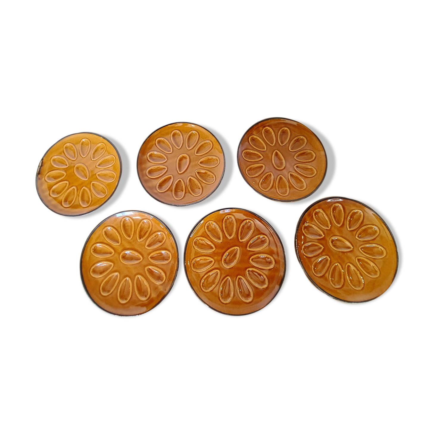6 assiettes à coquillages