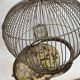 Vintage birdcage